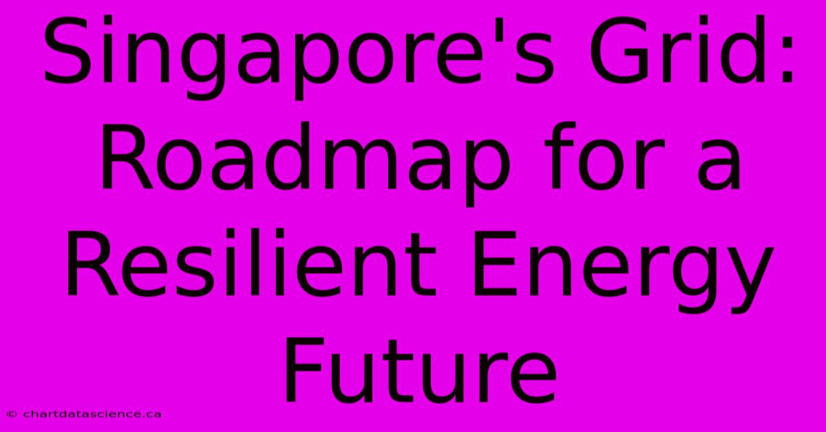 Singapore's Grid: Roadmap For A Resilient Energy Future