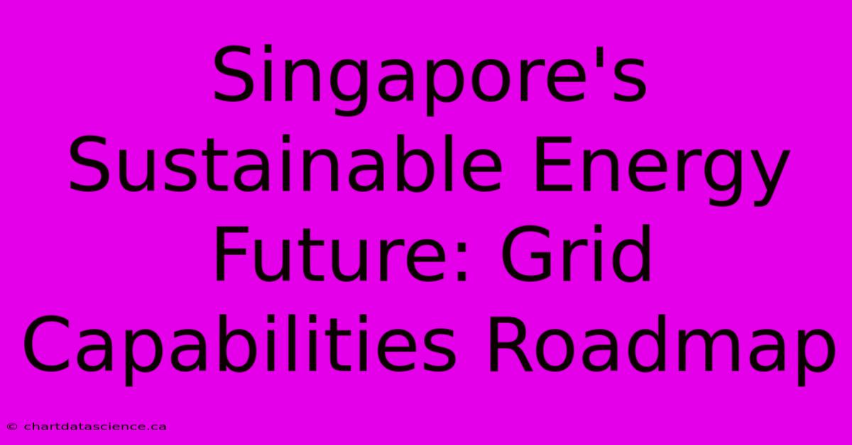 Singapore's Sustainable Energy Future: Grid Capabilities Roadmap