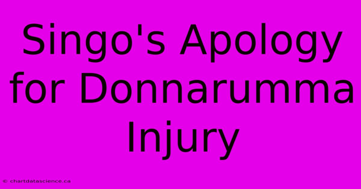 Singo's Apology For Donnarumma Injury