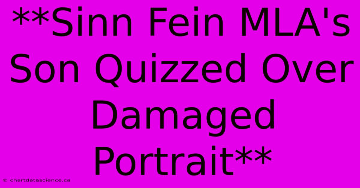 **Sinn Fein MLA's Son Quizzed Over Damaged Portrait**