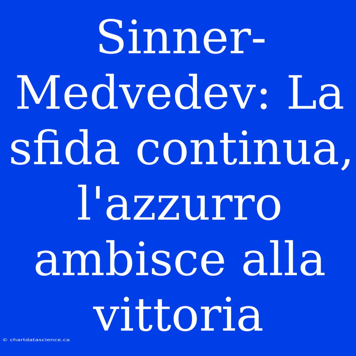 Sinner-Medvedev: La Sfida Continua, L'azzurro Ambisce Alla Vittoria