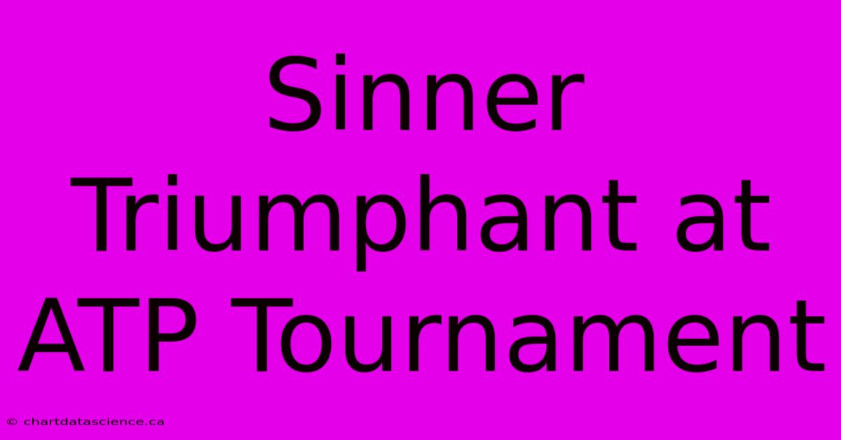 Sinner Triumphant At ATP Tournament 