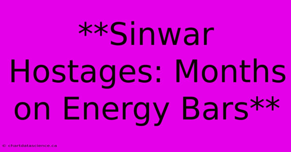 **Sinwar Hostages: Months On Energy Bars**