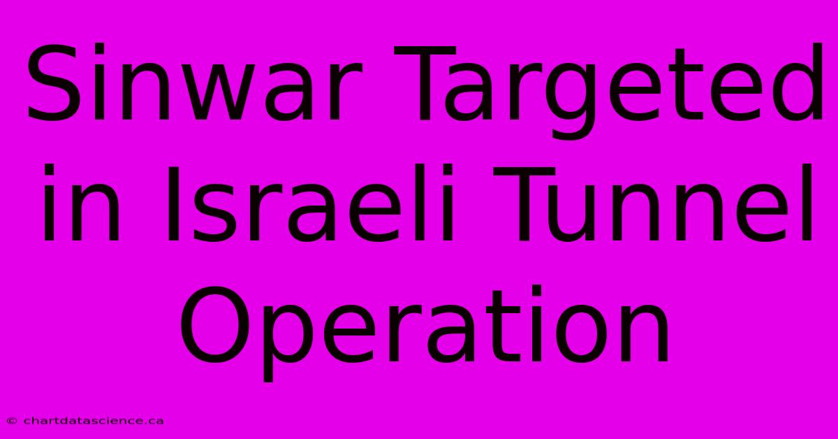 Sinwar Targeted In Israeli Tunnel Operation