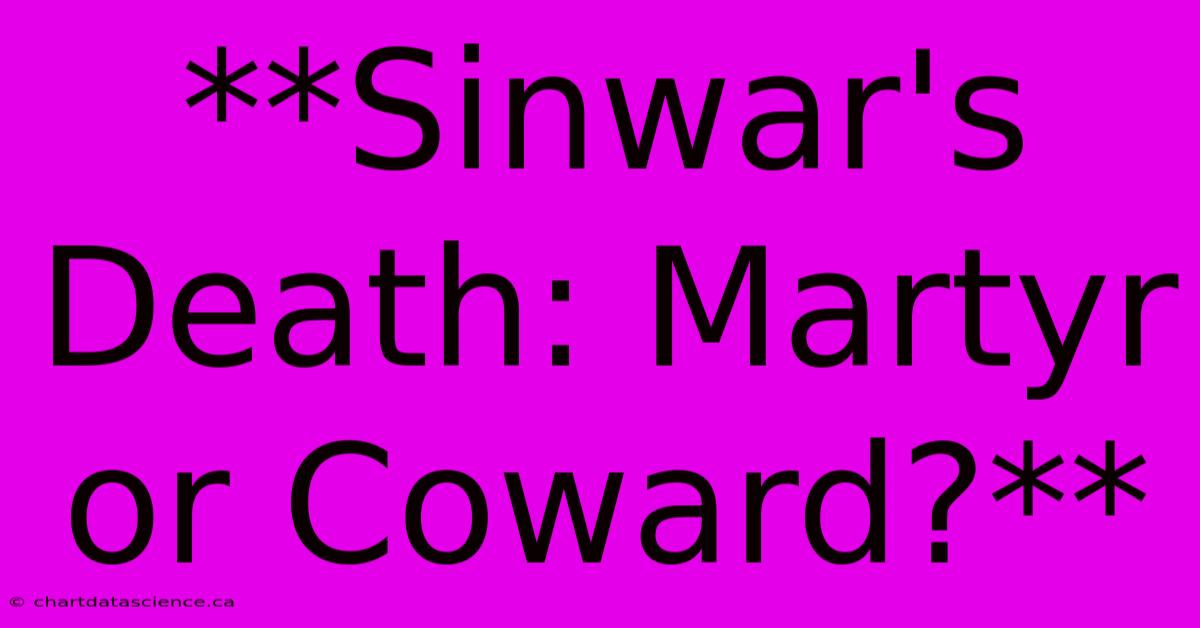 **Sinwar's Death: Martyr Or Coward?**