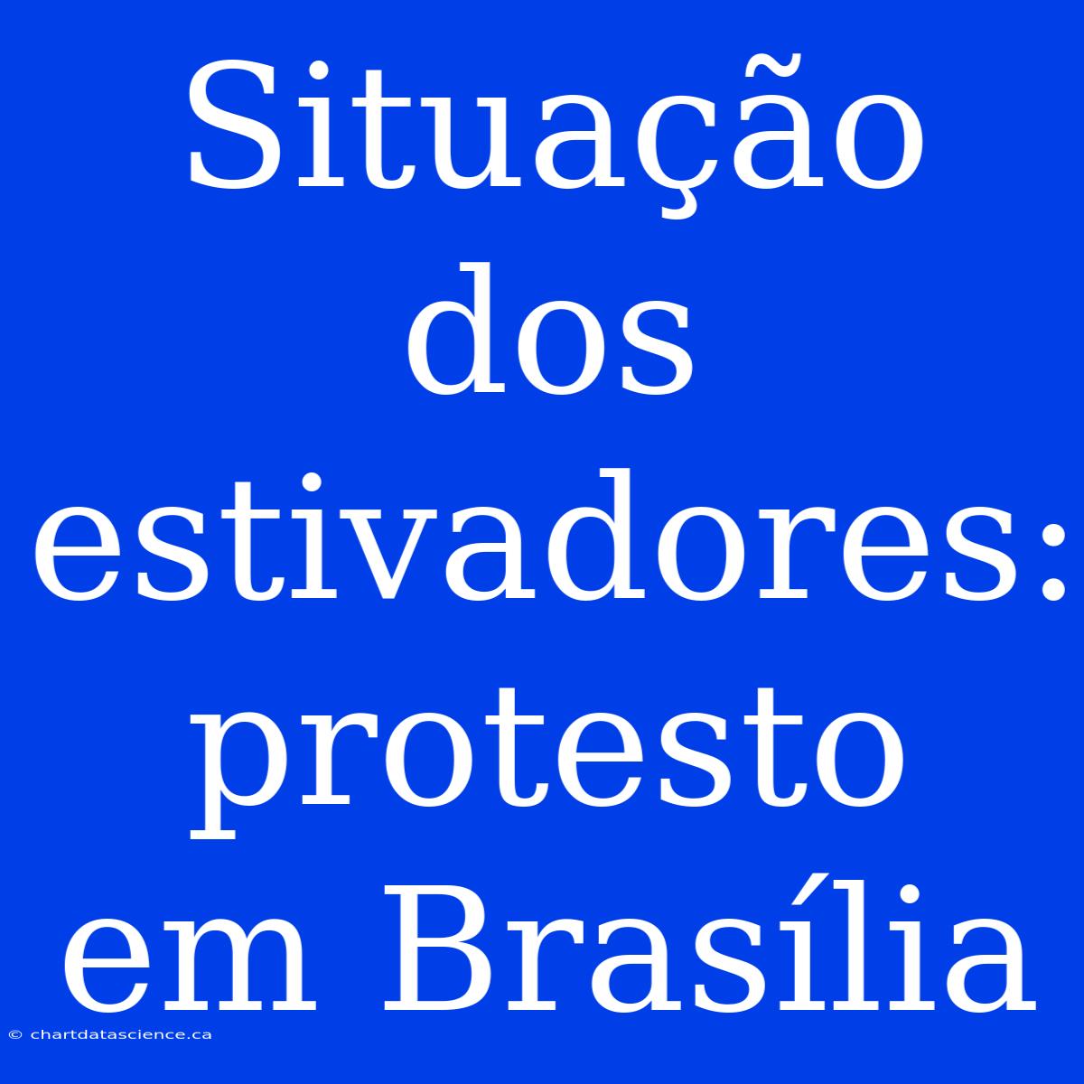 Situação Dos Estivadores: Protesto Em Brasília