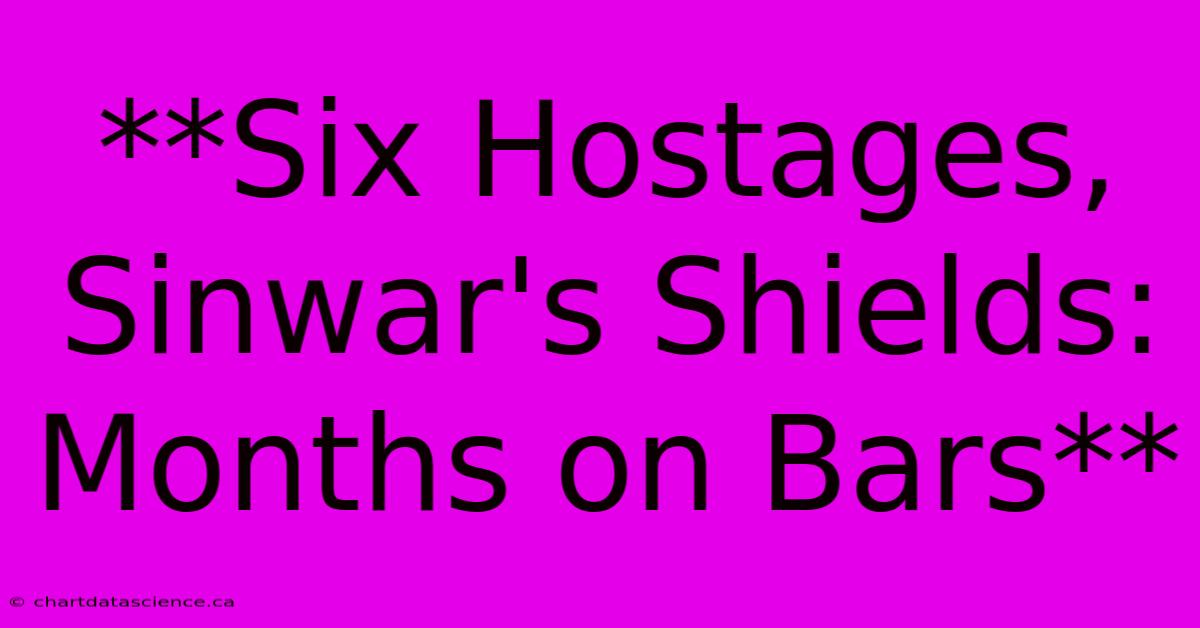 **Six Hostages, Sinwar's Shields: Months On Bars**