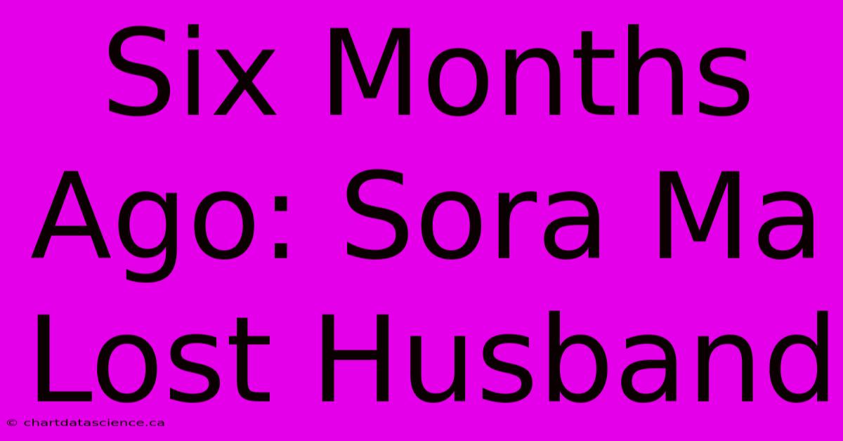 Six Months Ago: Sora Ma Lost Husband