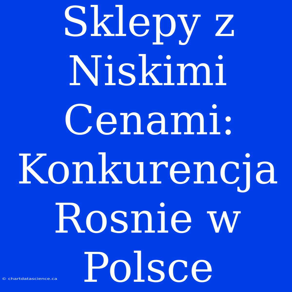 Sklepy Z Niskimi Cenami: Konkurencja Rosnie W Polsce