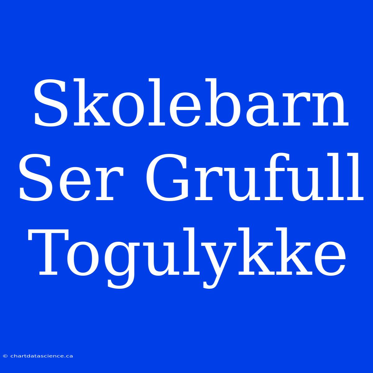 Skolebarn Ser Grufull Togulykke