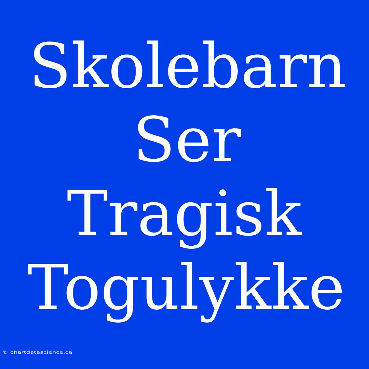 Skolebarn Ser Tragisk Togulykke