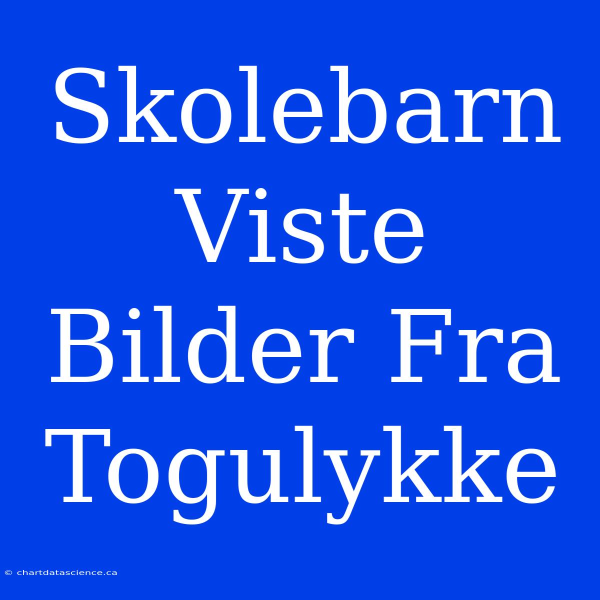 Skolebarn Viste Bilder Fra Togulykke