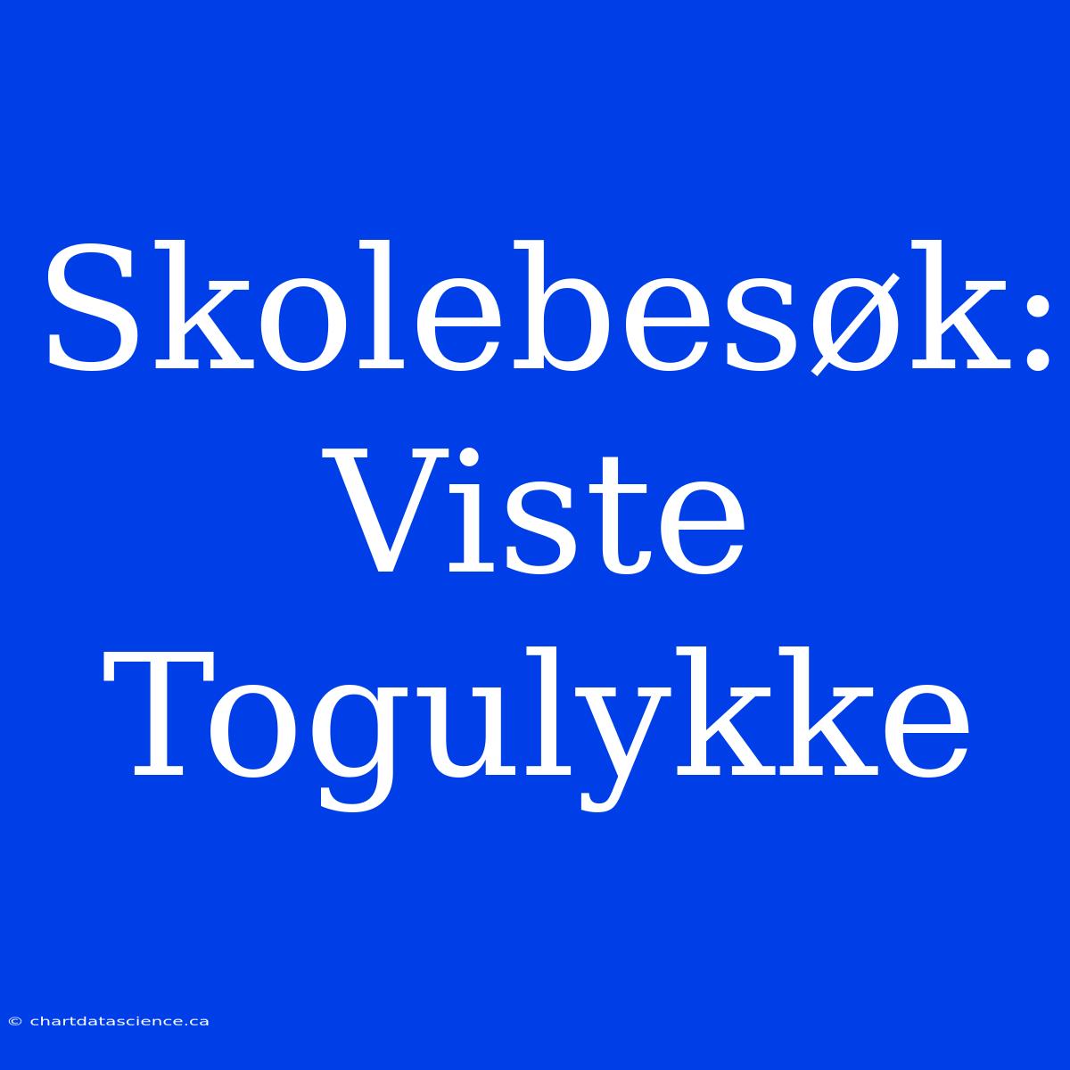 Skolebesøk: Viste Togulykke