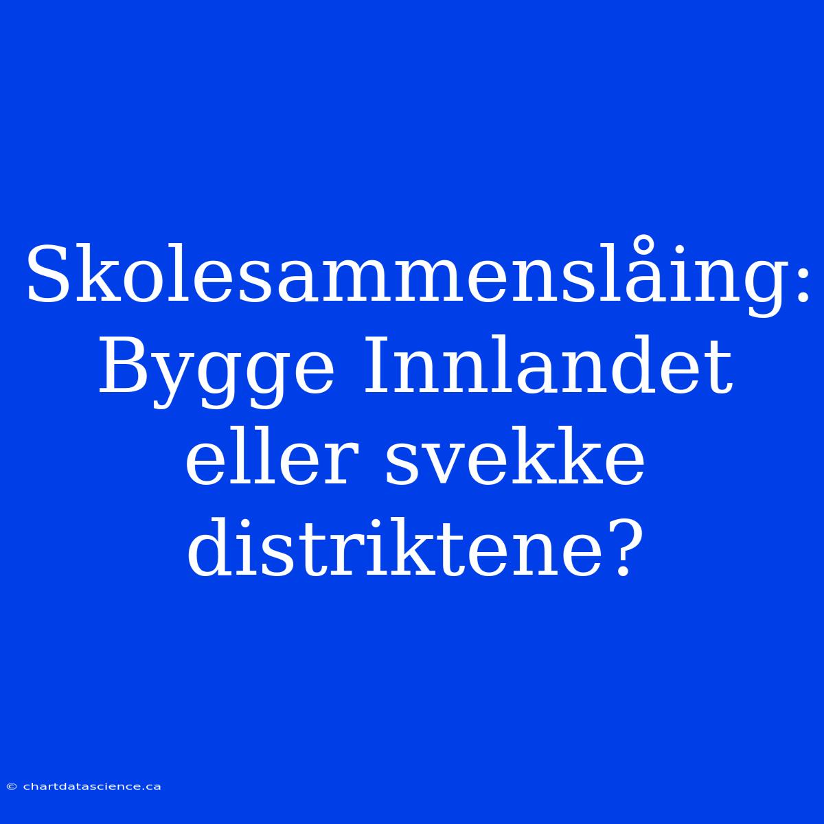 Skolesammenslåing: Bygge Innlandet Eller Svekke Distriktene?