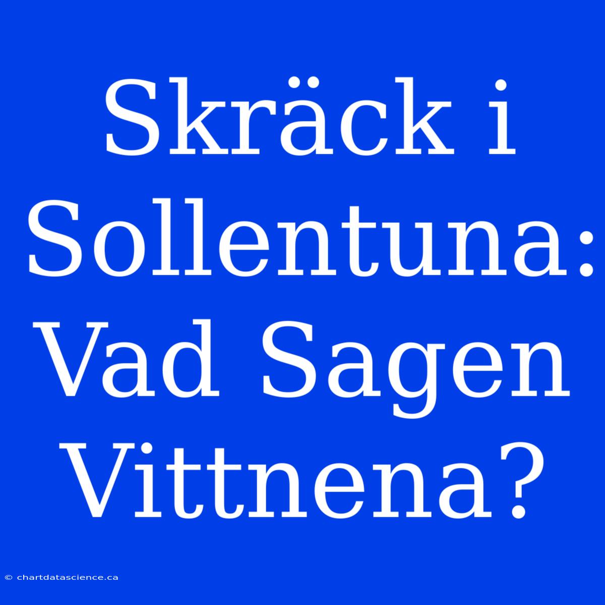 Skräck I Sollentuna: Vad Sagen Vittnena?