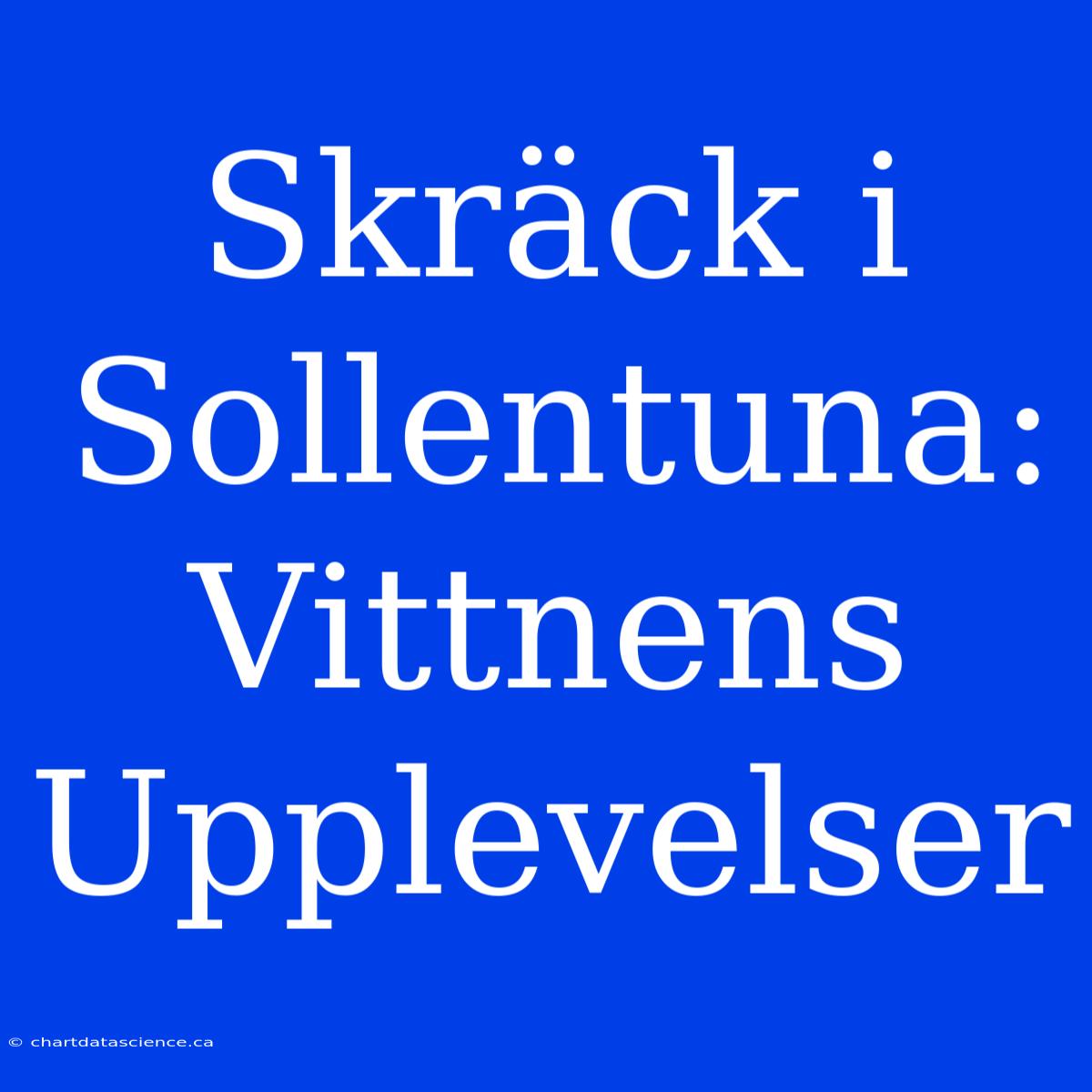 Skräck I Sollentuna: Vittnens Upplevelser