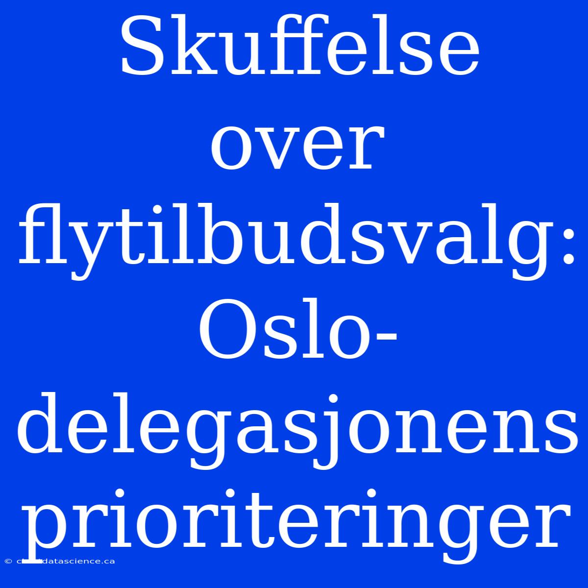 Skuffelse Over Flytilbudsvalg: Oslo-delegasjonens Prioriteringer