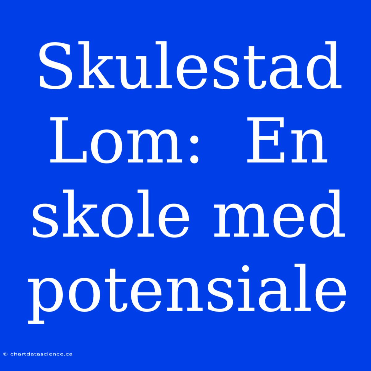 Skulestad Lom:  En Skole Med Potensiale