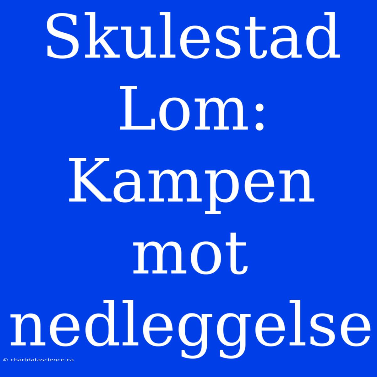 Skulestad Lom:  Kampen Mot Nedleggelse