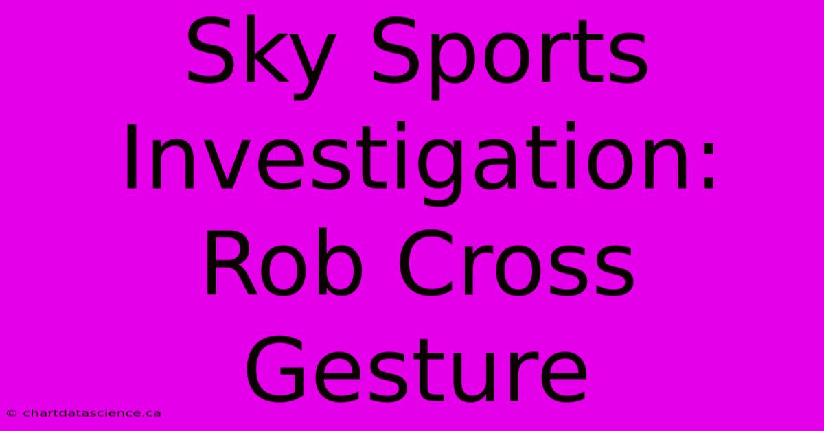 Sky Sports Investigation: Rob Cross Gesture