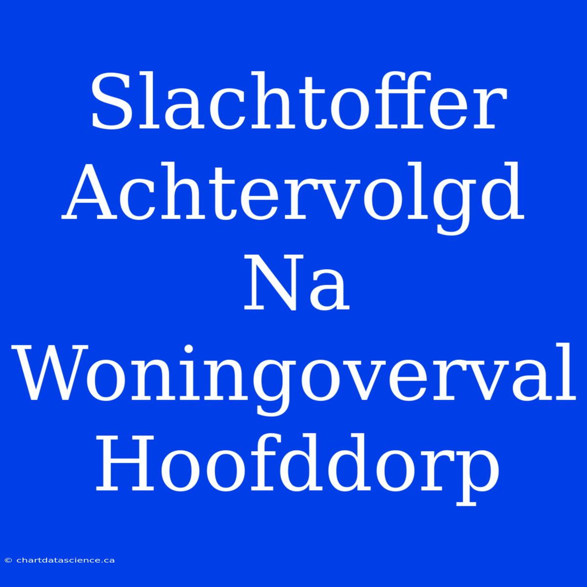 Slachtoffer Achtervolgd Na Woningoverval Hoofddorp