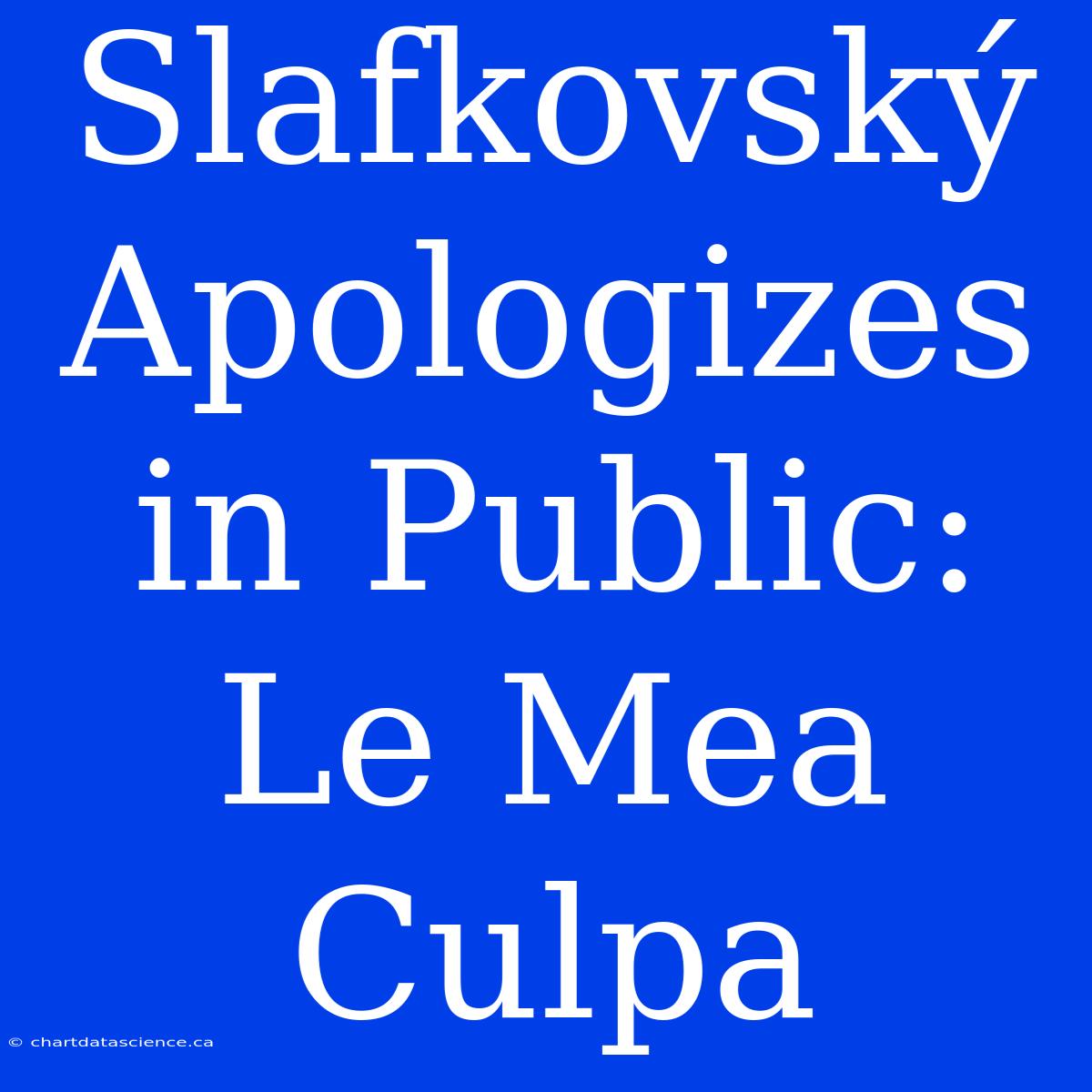 Slafkovský Apologizes In Public: Le Mea Culpa