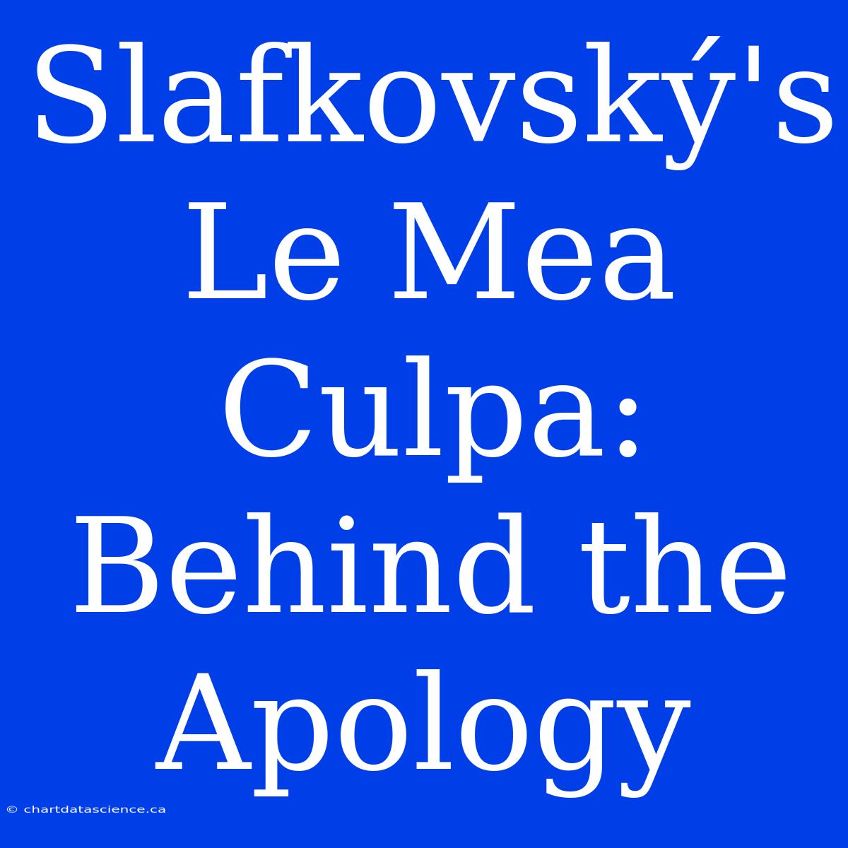 Slafkovský's Le Mea Culpa: Behind The Apology