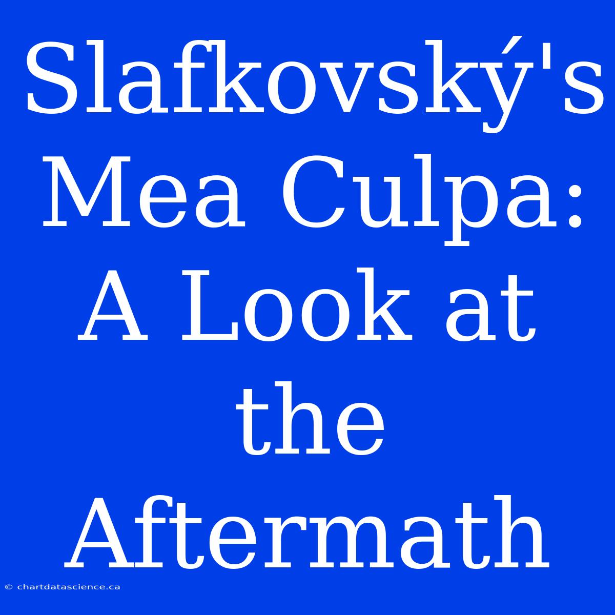 Slafkovský's Mea Culpa: A Look At The Aftermath