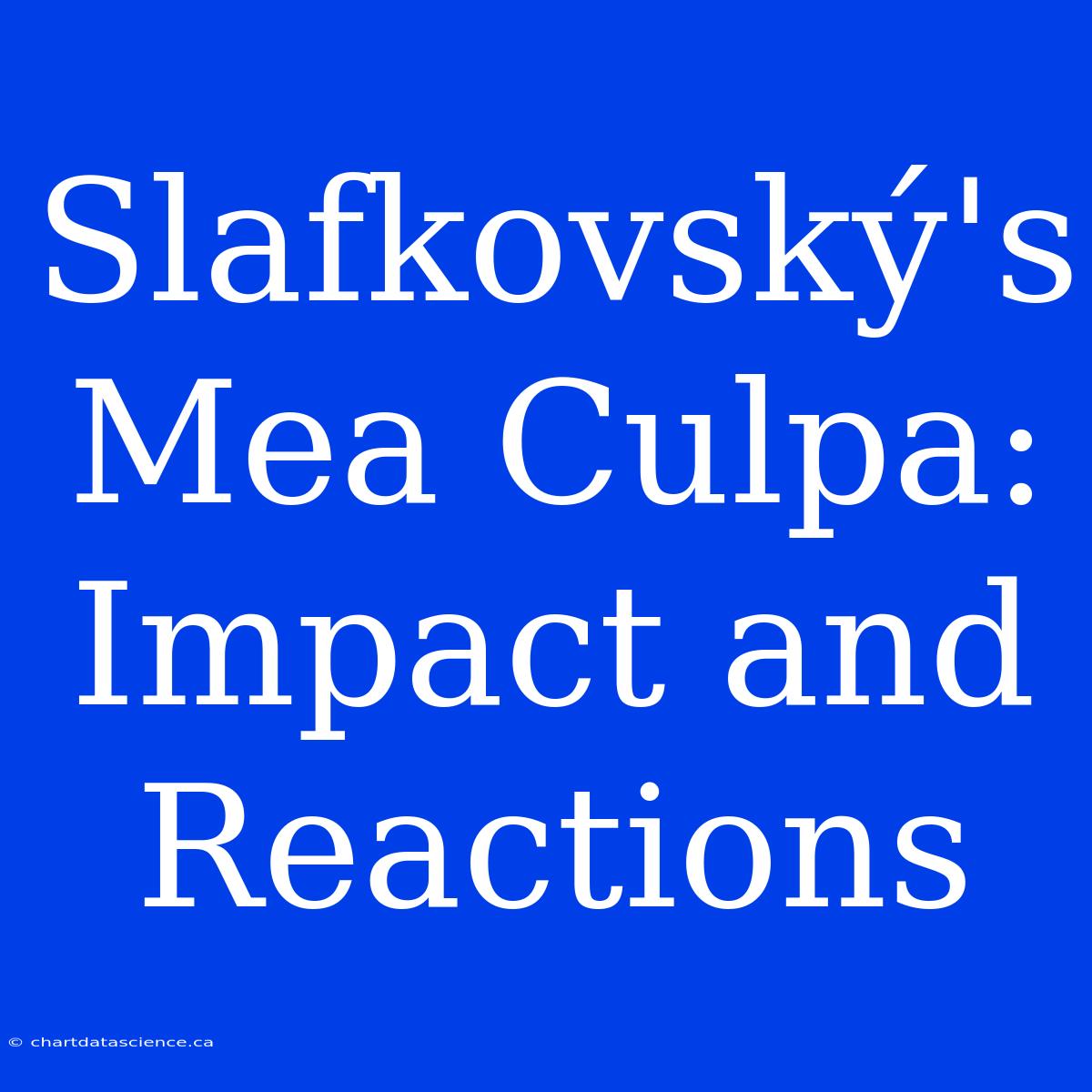 Slafkovský's Mea Culpa: Impact And Reactions