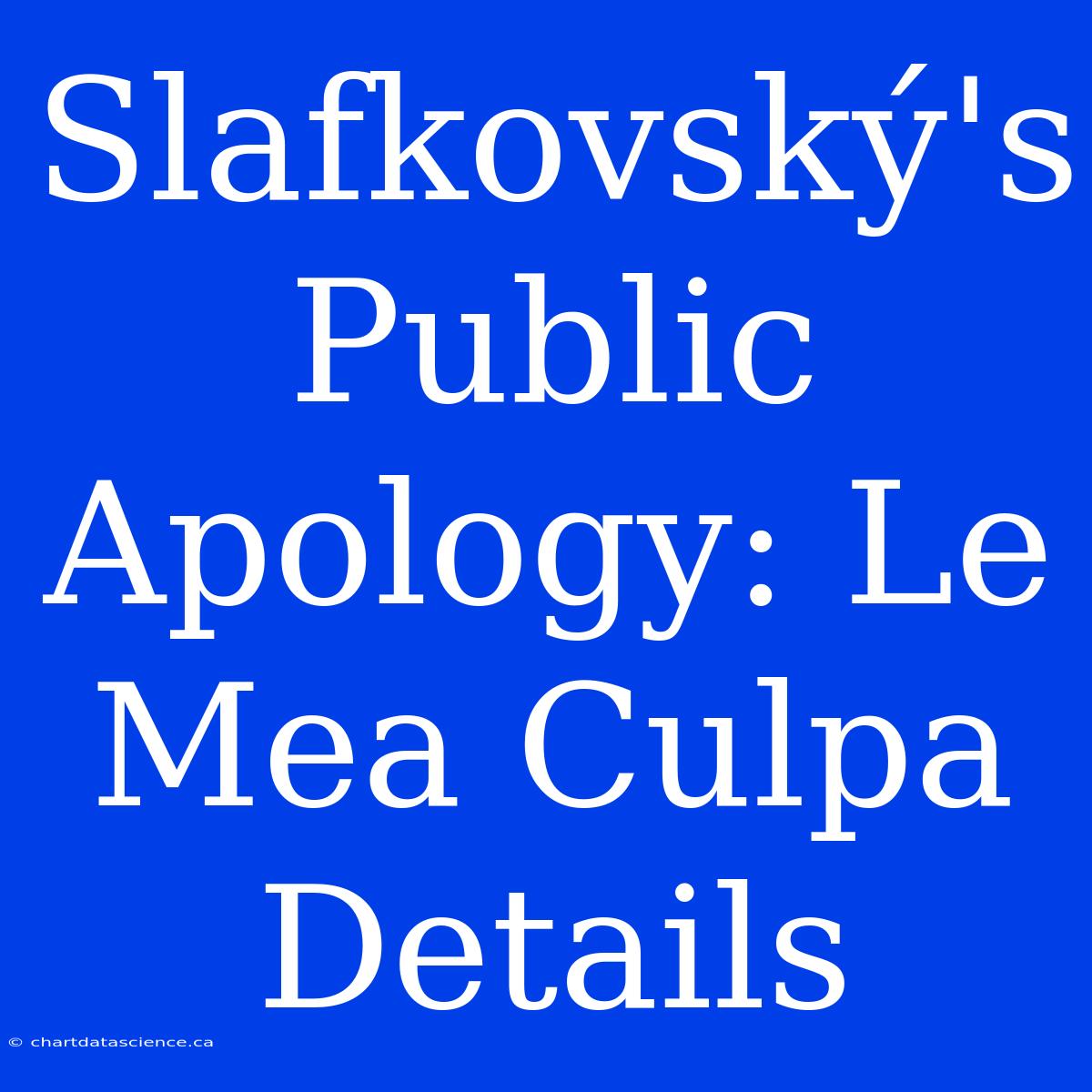 Slafkovský's Public Apology: Le Mea Culpa Details