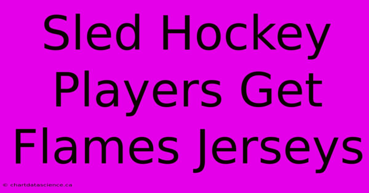 Sled Hockey Players Get Flames Jerseys