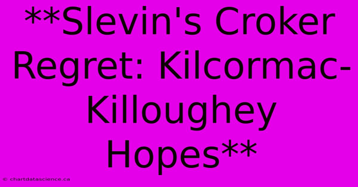 **Slevin's Croker Regret: Kilcormac-Killoughey Hopes**