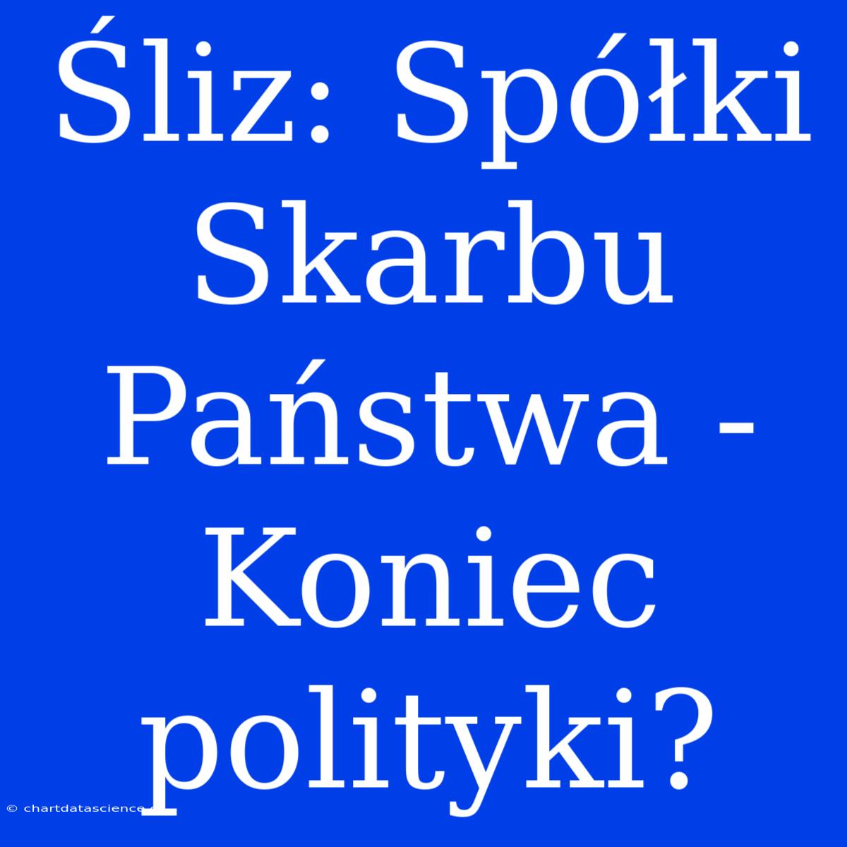 Śliz: Spółki Skarbu Państwa - Koniec Polityki?