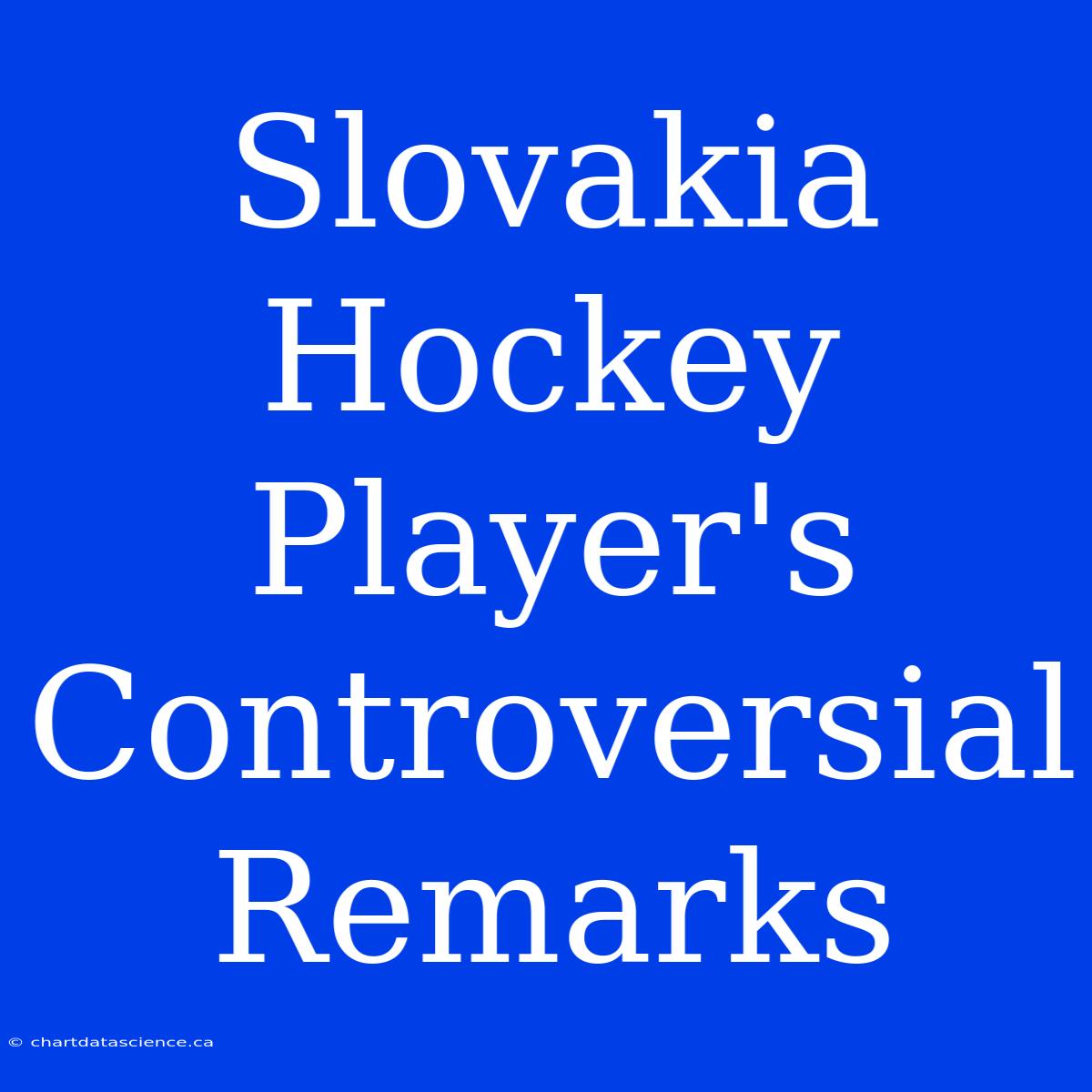 Slovakia Hockey Player's Controversial Remarks