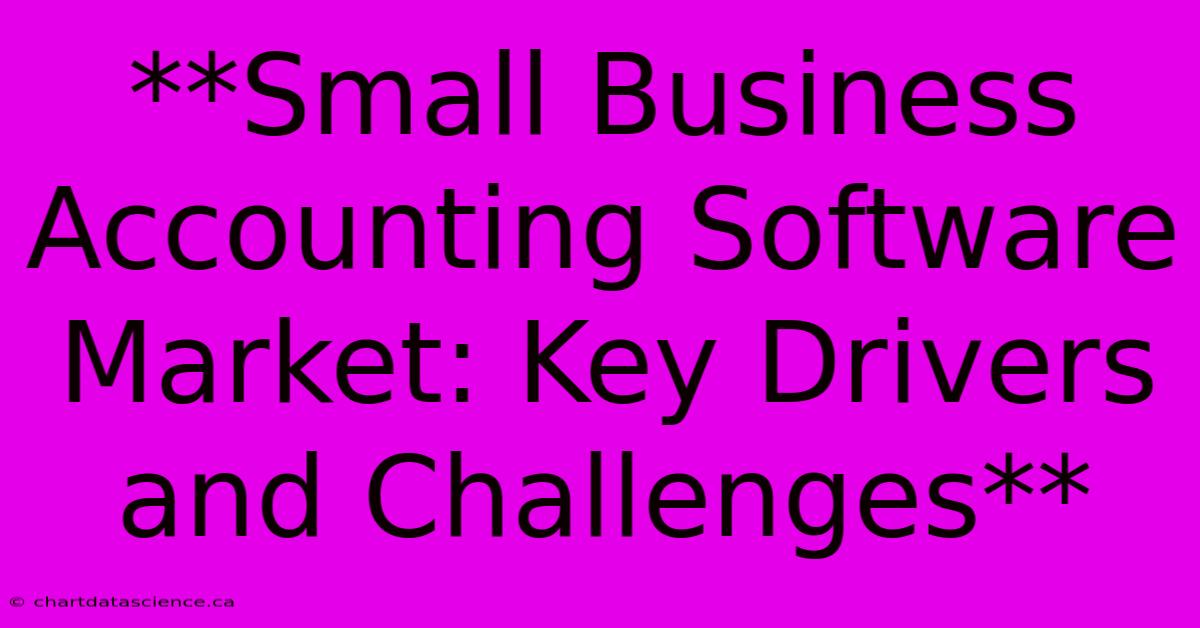 **Small Business Accounting Software Market: Key Drivers And Challenges**