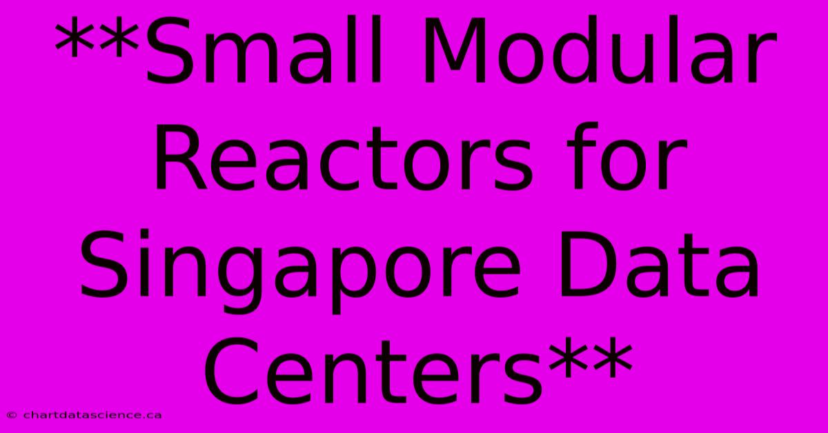 **Small Modular Reactors For Singapore Data Centers**