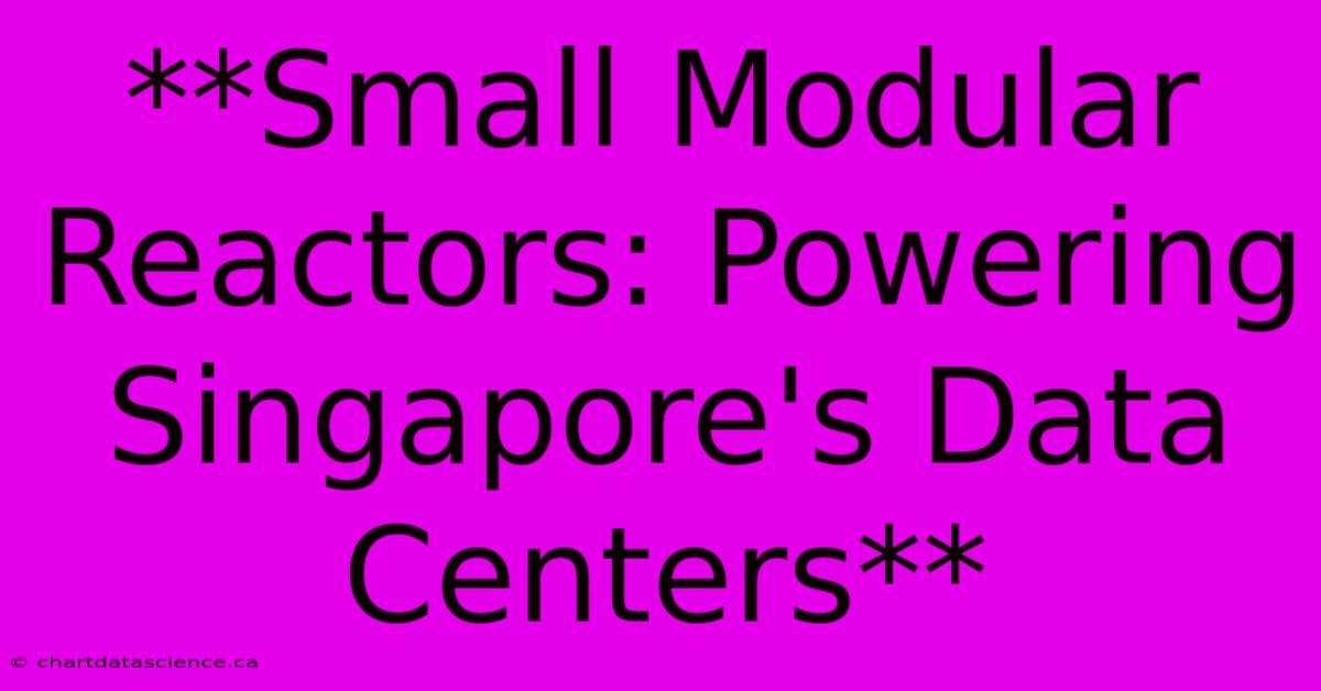 **Small Modular Reactors: Powering Singapore's Data Centers**