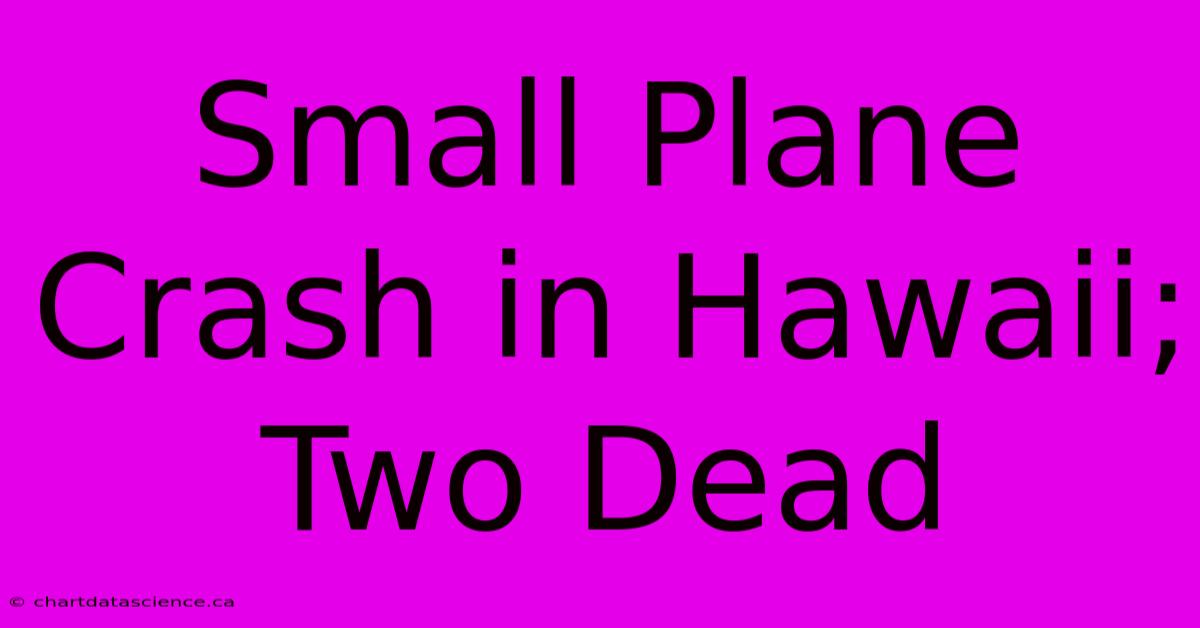 Small Plane Crash In Hawaii; Two Dead