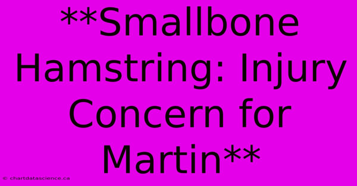 **Smallbone Hamstring: Injury Concern For Martin**