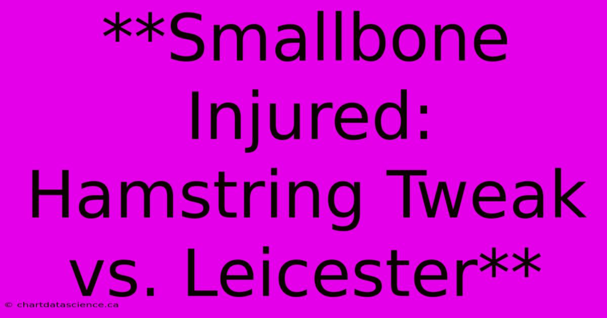 **Smallbone Injured: Hamstring Tweak Vs. Leicester**