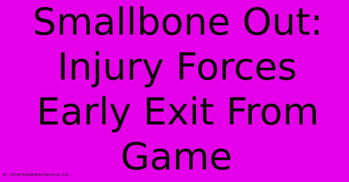 Smallbone Out: Injury Forces Early Exit From Game