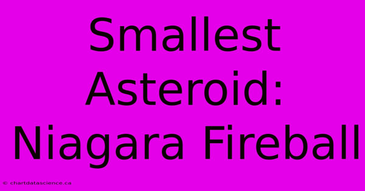 Smallest Asteroid: Niagara Fireball