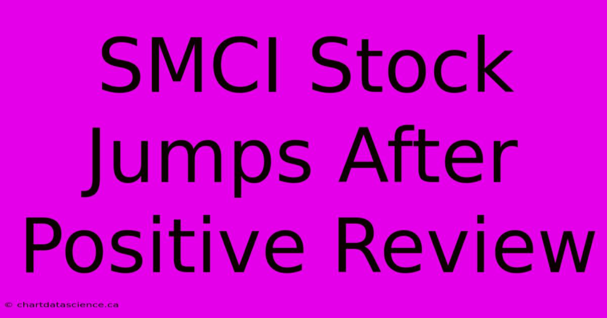 SMCI Stock Jumps After Positive Review