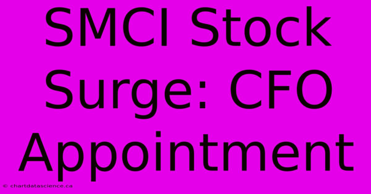 SMCI Stock Surge: CFO Appointment