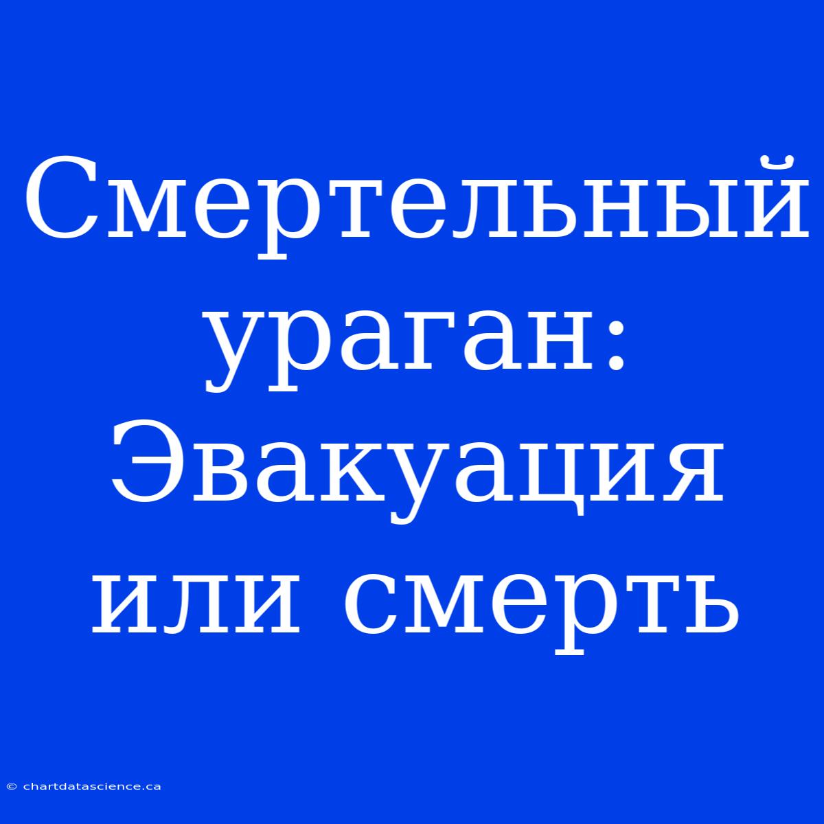 Смертельный Ураган: Эвакуация Или Смерть