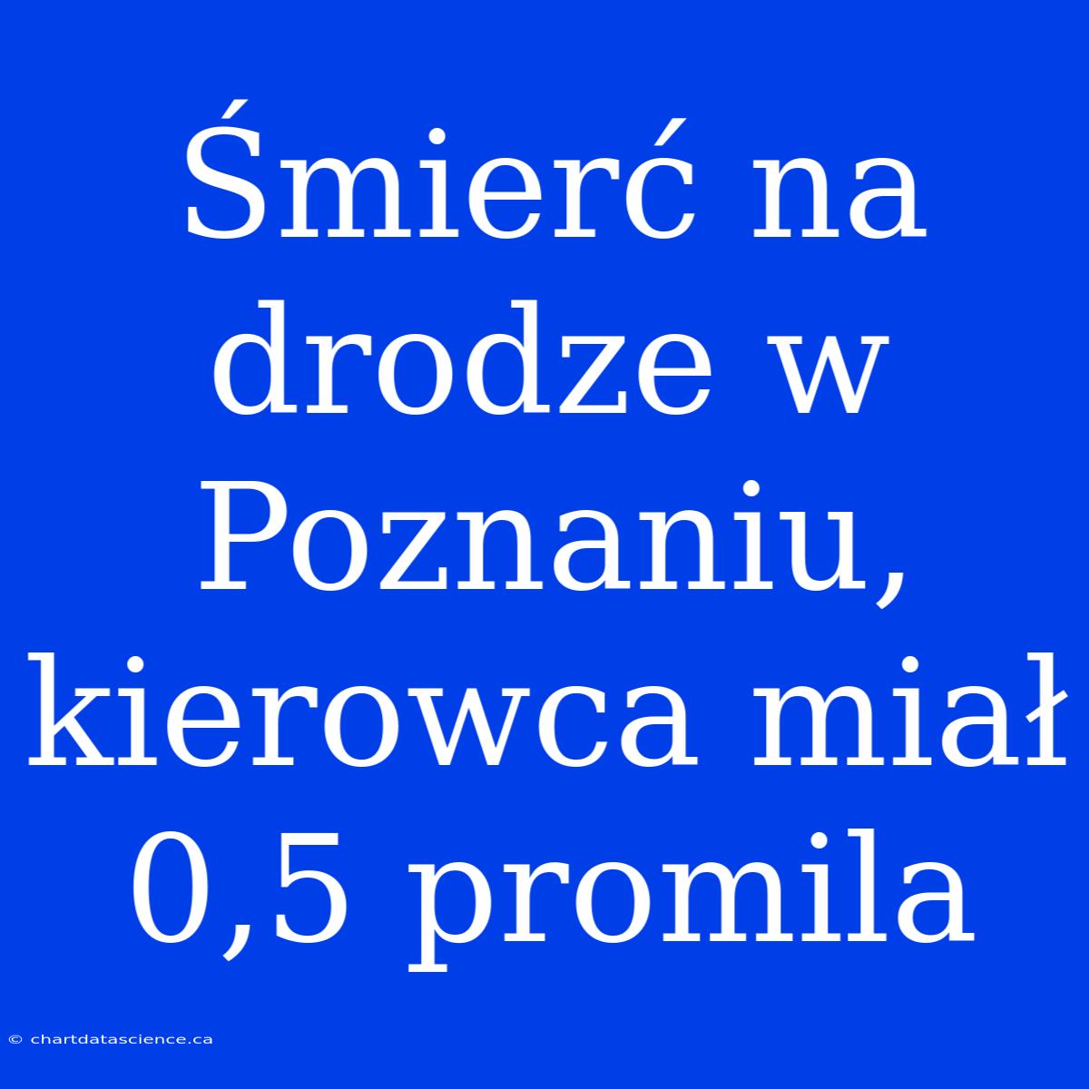 Śmierć Na Drodze W Poznaniu, Kierowca Miał 0,5 Promila