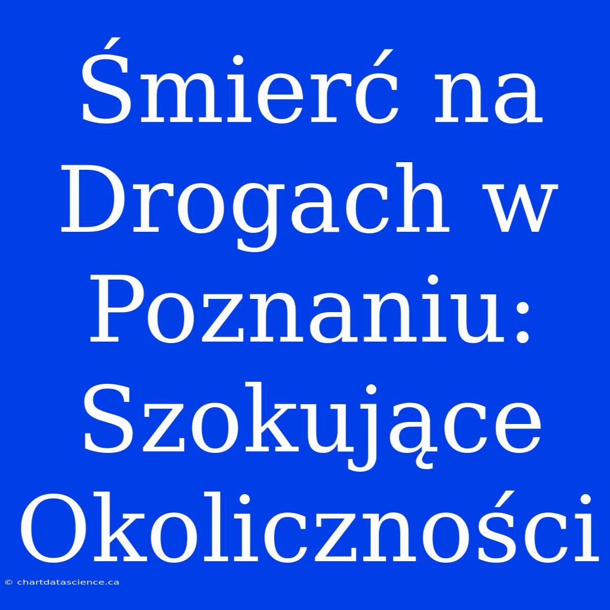 Śmierć Na Drogach W Poznaniu: Szokujące Okoliczności