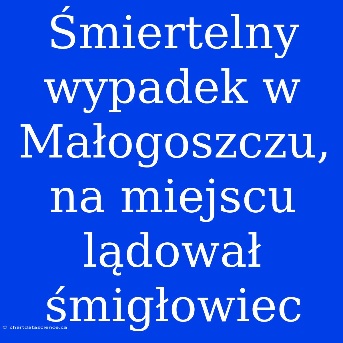 Śmiertelny Wypadek W Małogoszczu, Na Miejscu Lądował Śmigłowiec