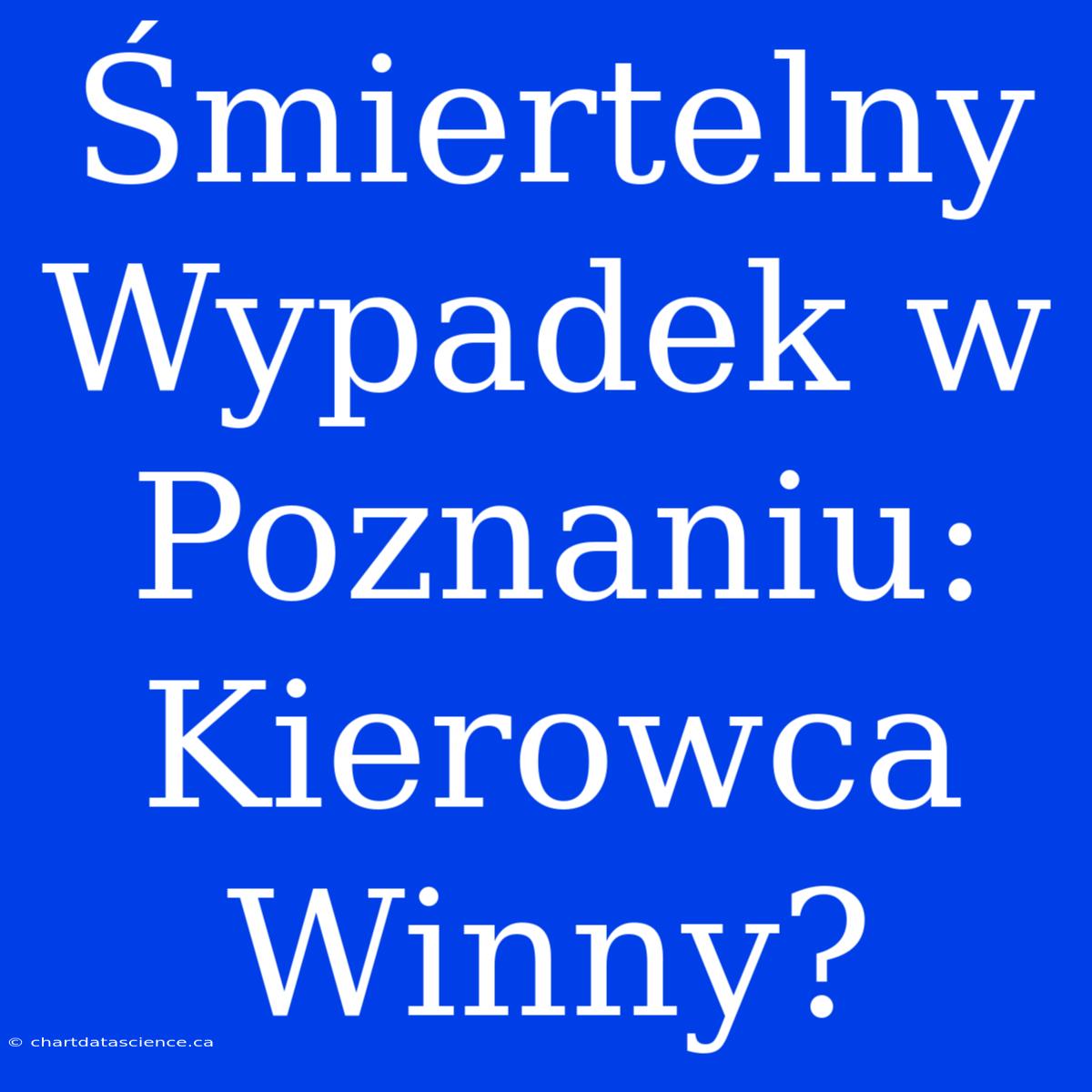 Śmiertelny Wypadek W Poznaniu: Kierowca Winny?