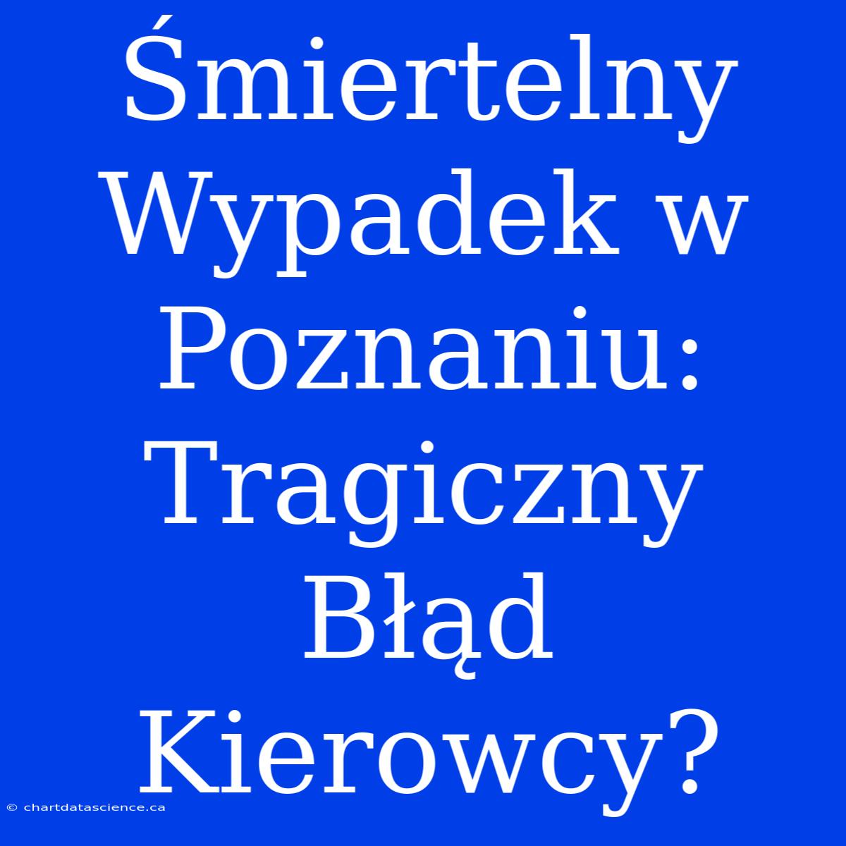 Śmiertelny Wypadek W Poznaniu: Tragiczny Błąd Kierowcy?